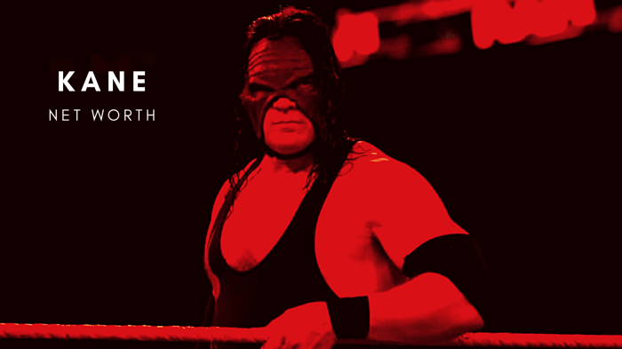 Kane wwe net worth 2023