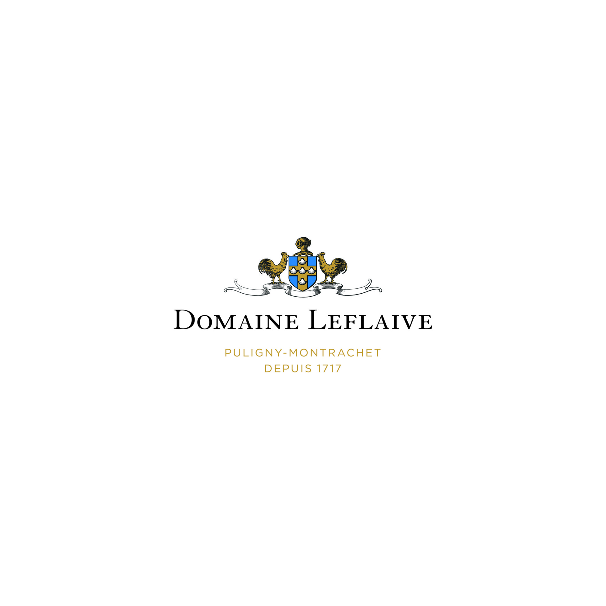 2020 Domaine Leflaive Bourgogne Blanc - Medium Plus