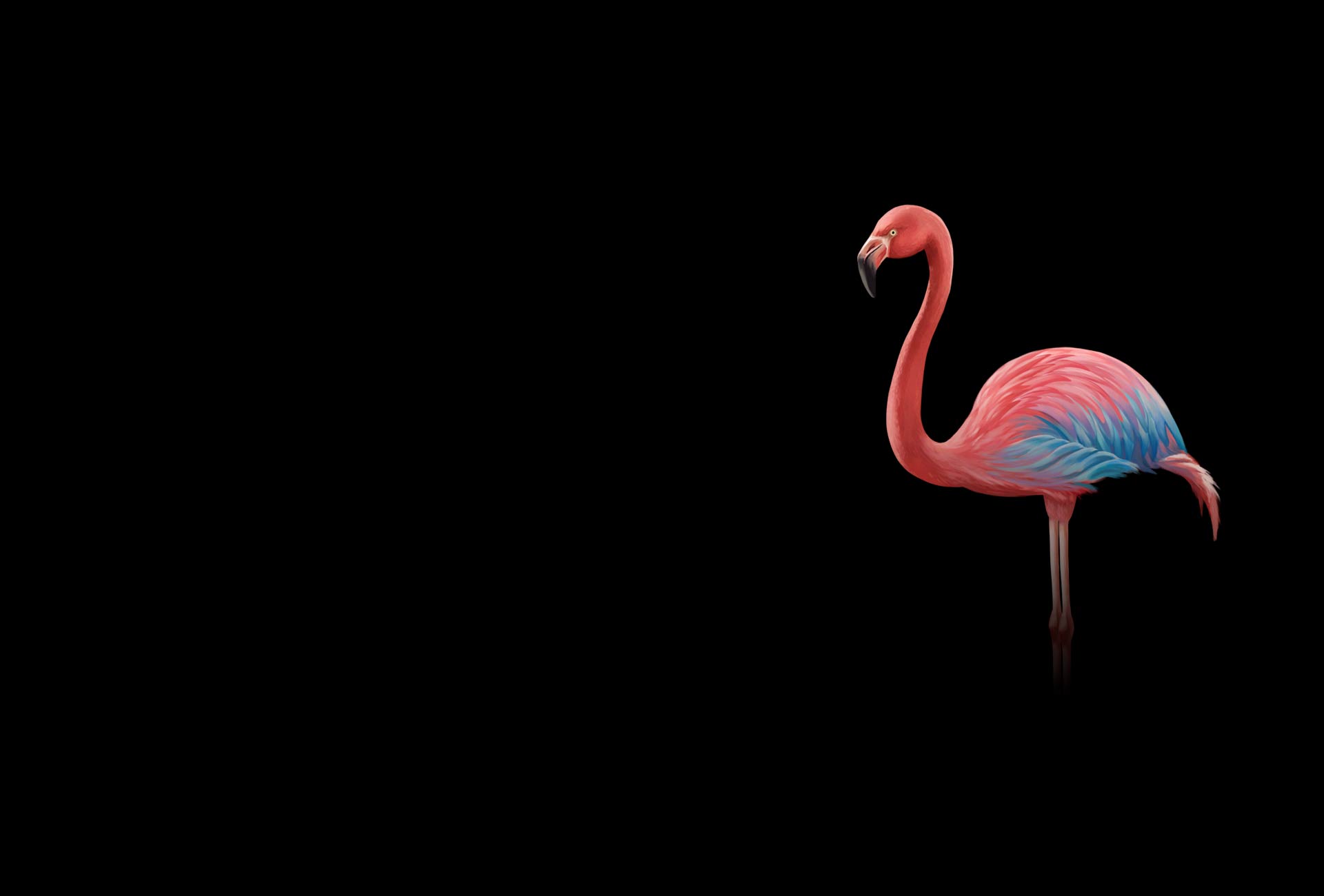 Gradient Platform Pricing - Gradient Photos - Creative High Resolution Collection