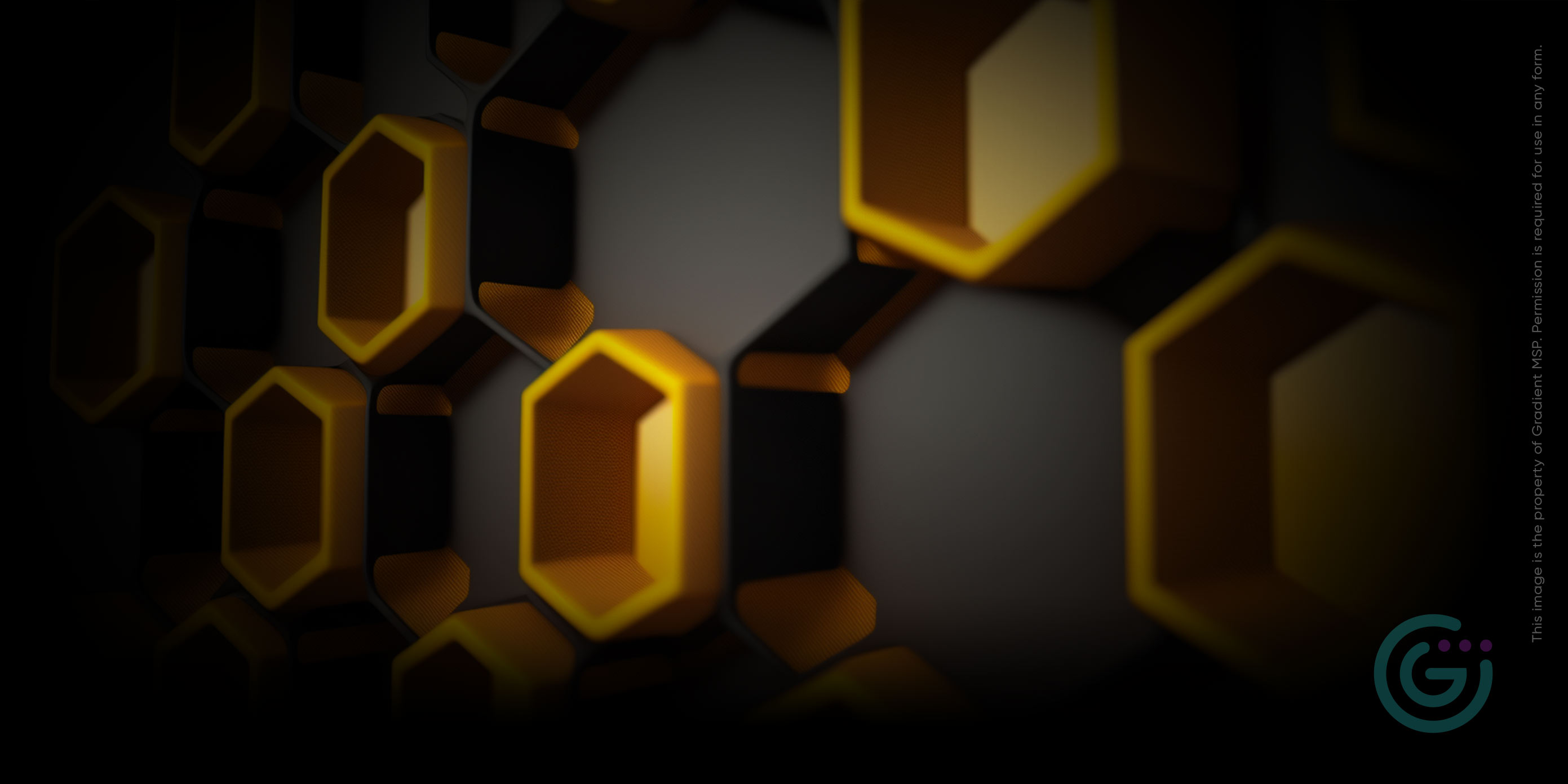 2022 Keeper Information - Premium Nature Texture - HD