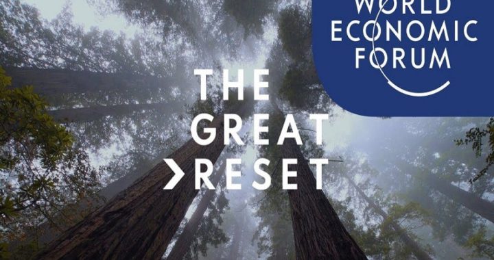 Het dagboek van Melissa Kampers – 20 december 2021