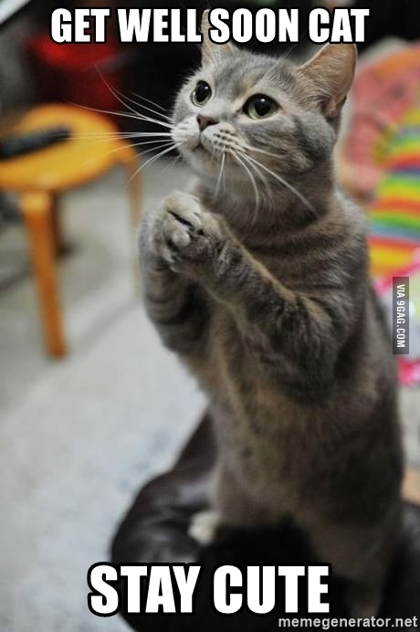 They will appreciate receiving some love and encouragement from you. Cute Get Well Memes