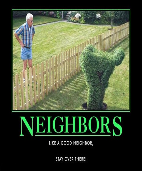 Funny neighbor Memes