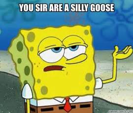 picture You're A Silly Goose Meme silly goose memes