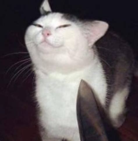 picture Crying Eyes Meme Origin crying cat memes