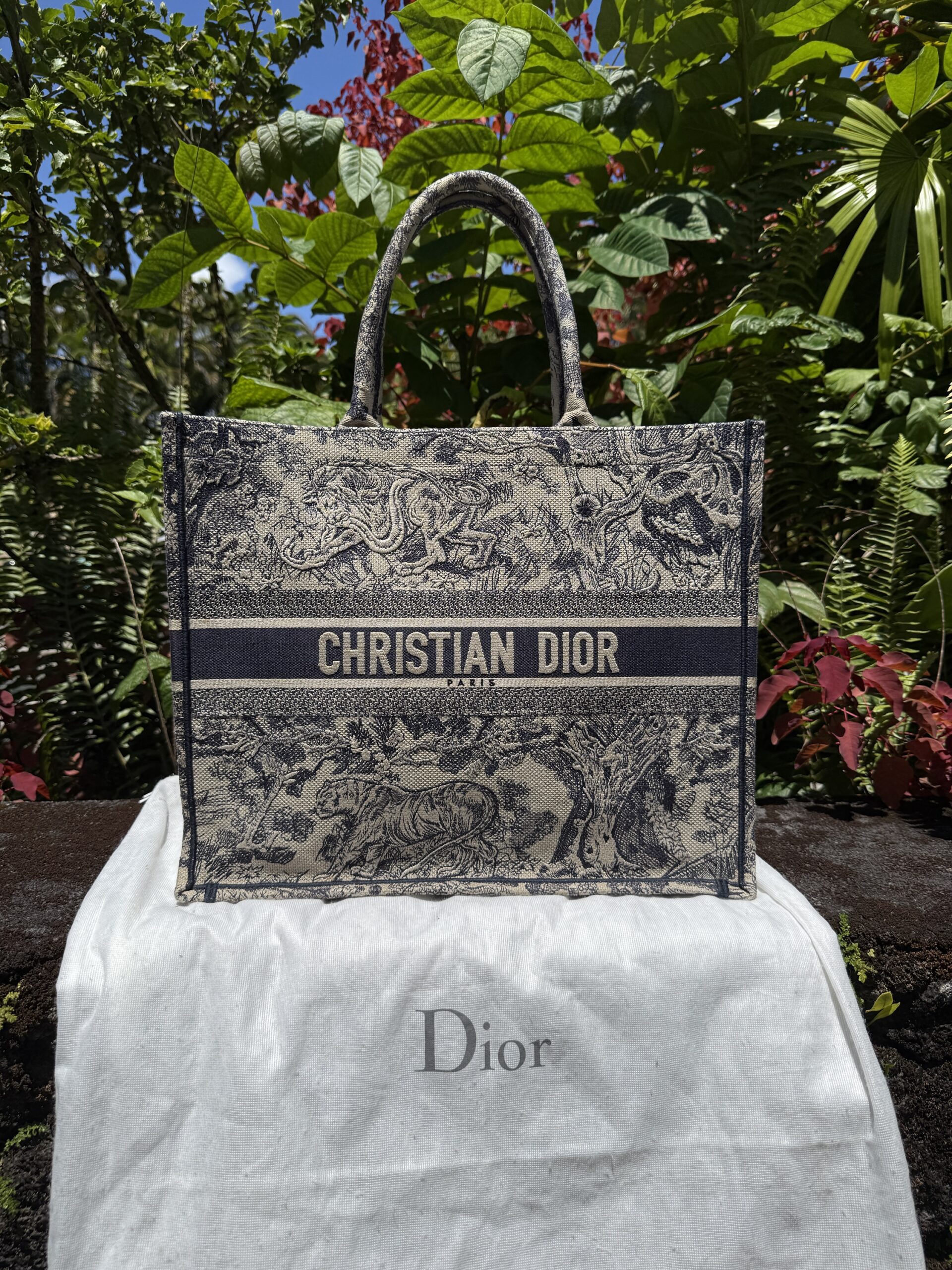Christian Dior Medium Book Tote – Meme's Treasures