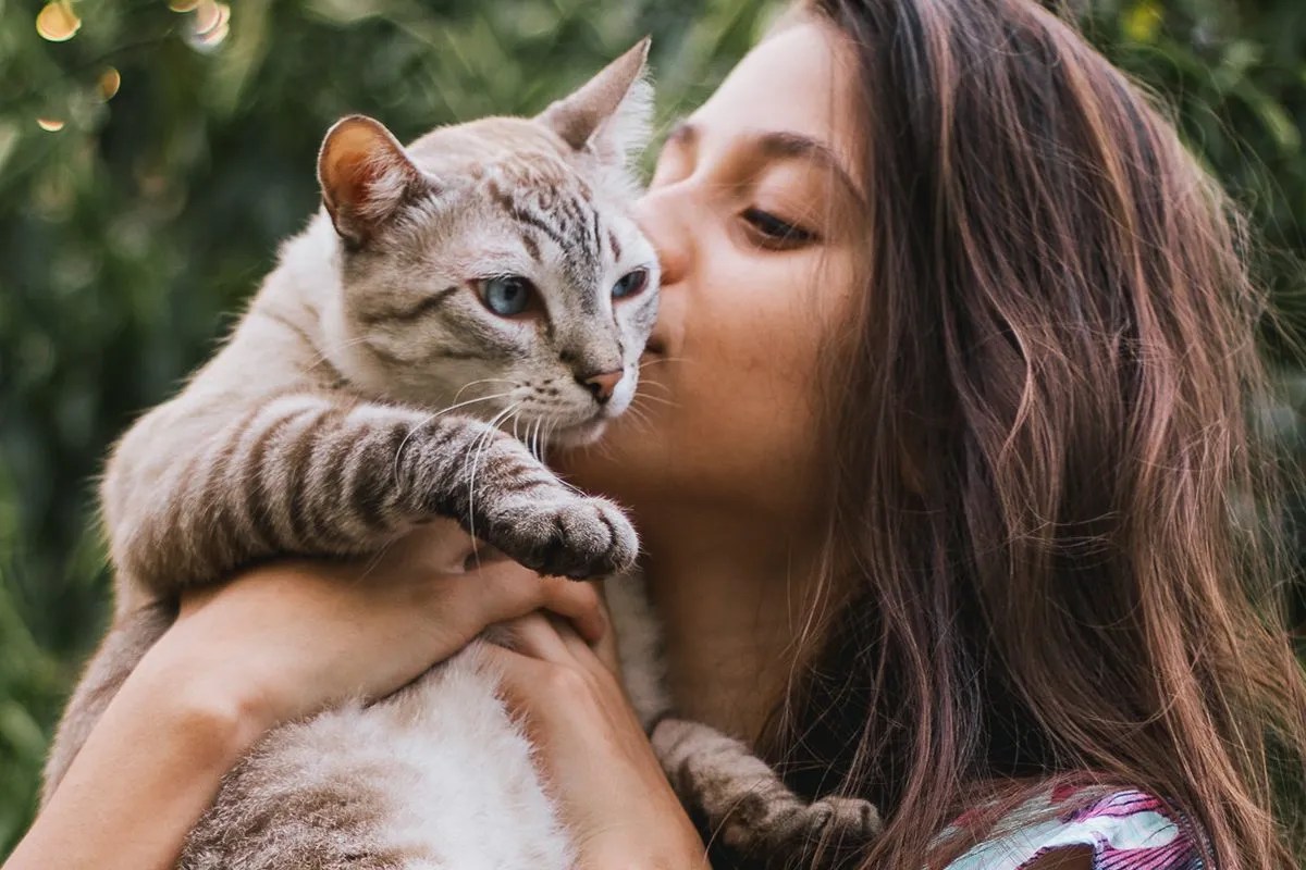 First-Time Cat Owner