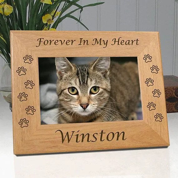 cat memory box