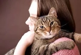 shared cat spaces