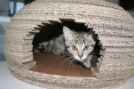 cat tent from old cushions