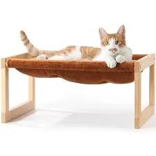 cat food detection