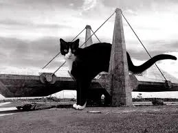 cats in architectural ornamentation