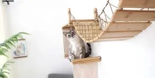 DIY cat activity wall