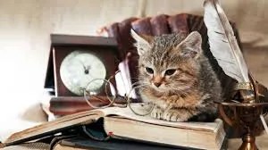 iconic cats in literature