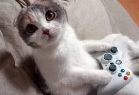 cats in video games