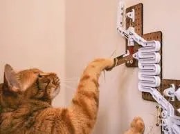 treat-dispensing maze for cats