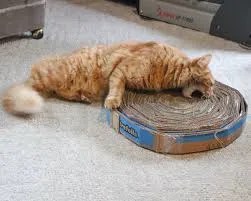 recycled cardboard scratcher for cats
