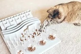 cat play board with puzzles