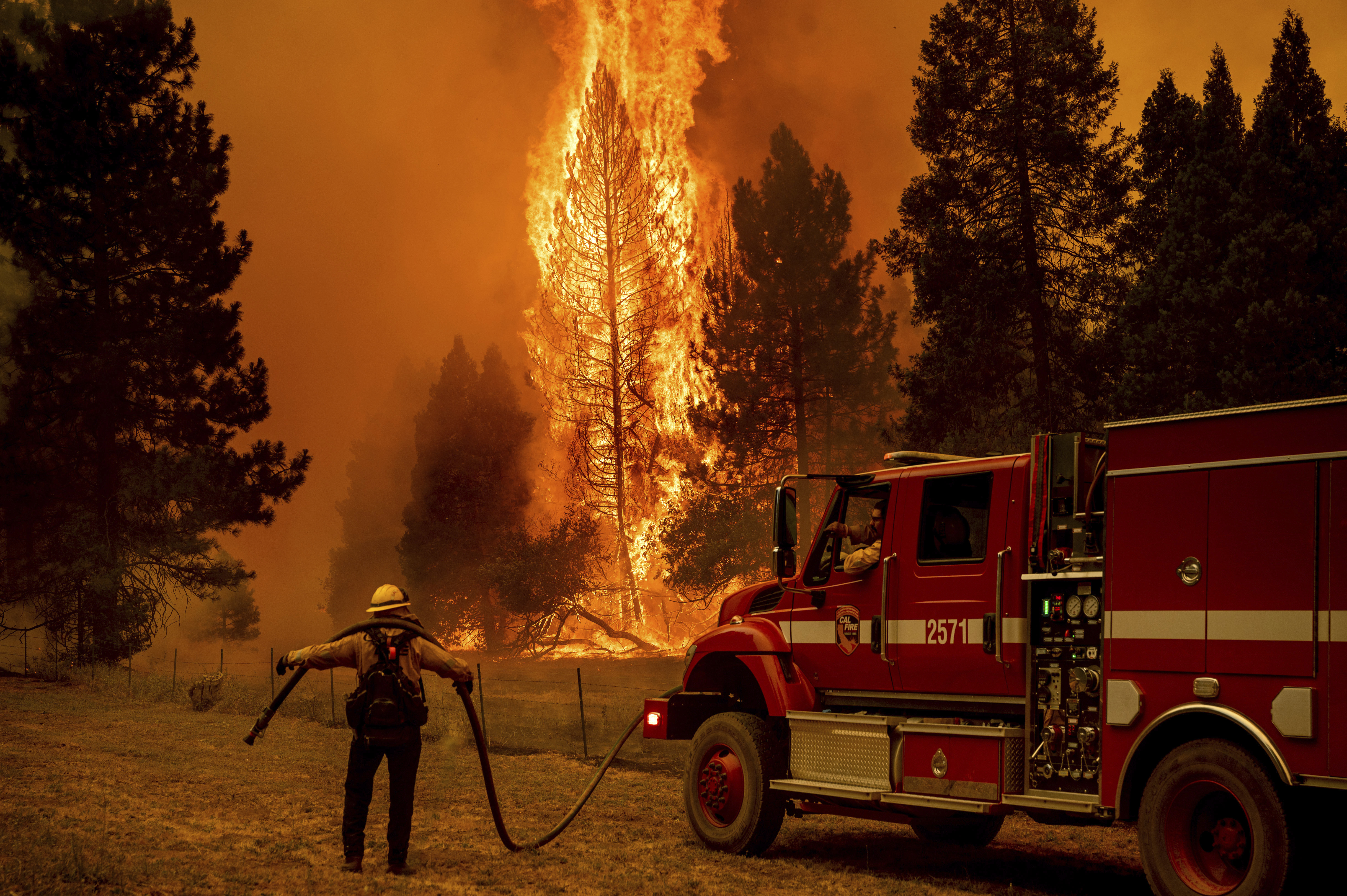 A firefighters holds a hose while battling the Oak Fire in the Jerseydale community of Mariposa County, Calif., on Saturday, July 23, 2022. (AP Photo/Noah Berger)