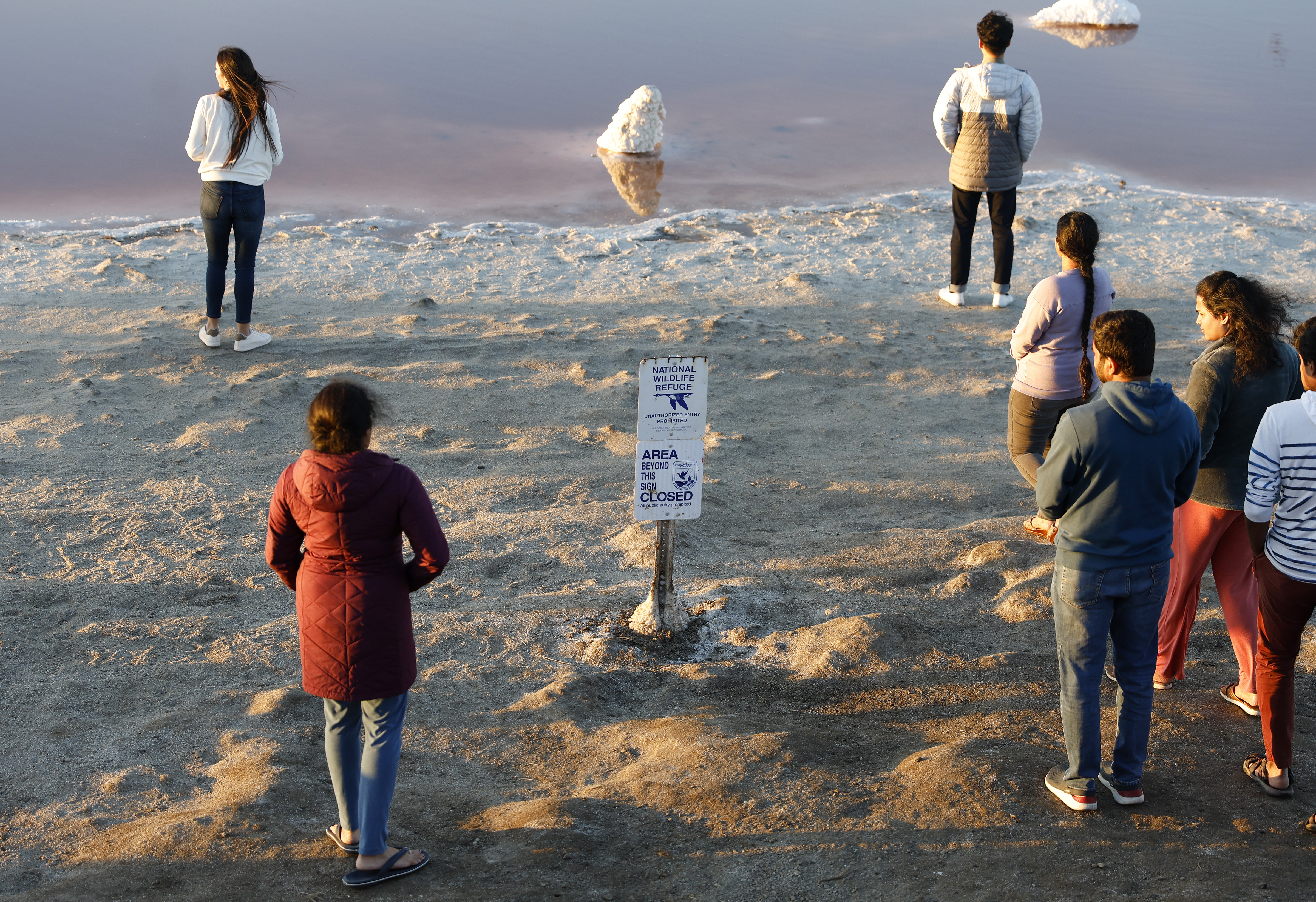 Visitors ignore signs informing visitors to stay on the Alviso Slough Trail next to the pink hue, due to algae, that can be seen at the Don Edwards San Francisco Bay Wildlife Refuge in Alviso in San Jose, Calif., on Monday, Nov. 13, 2023. (Nhat V. Meyer/Bay Area News Group)