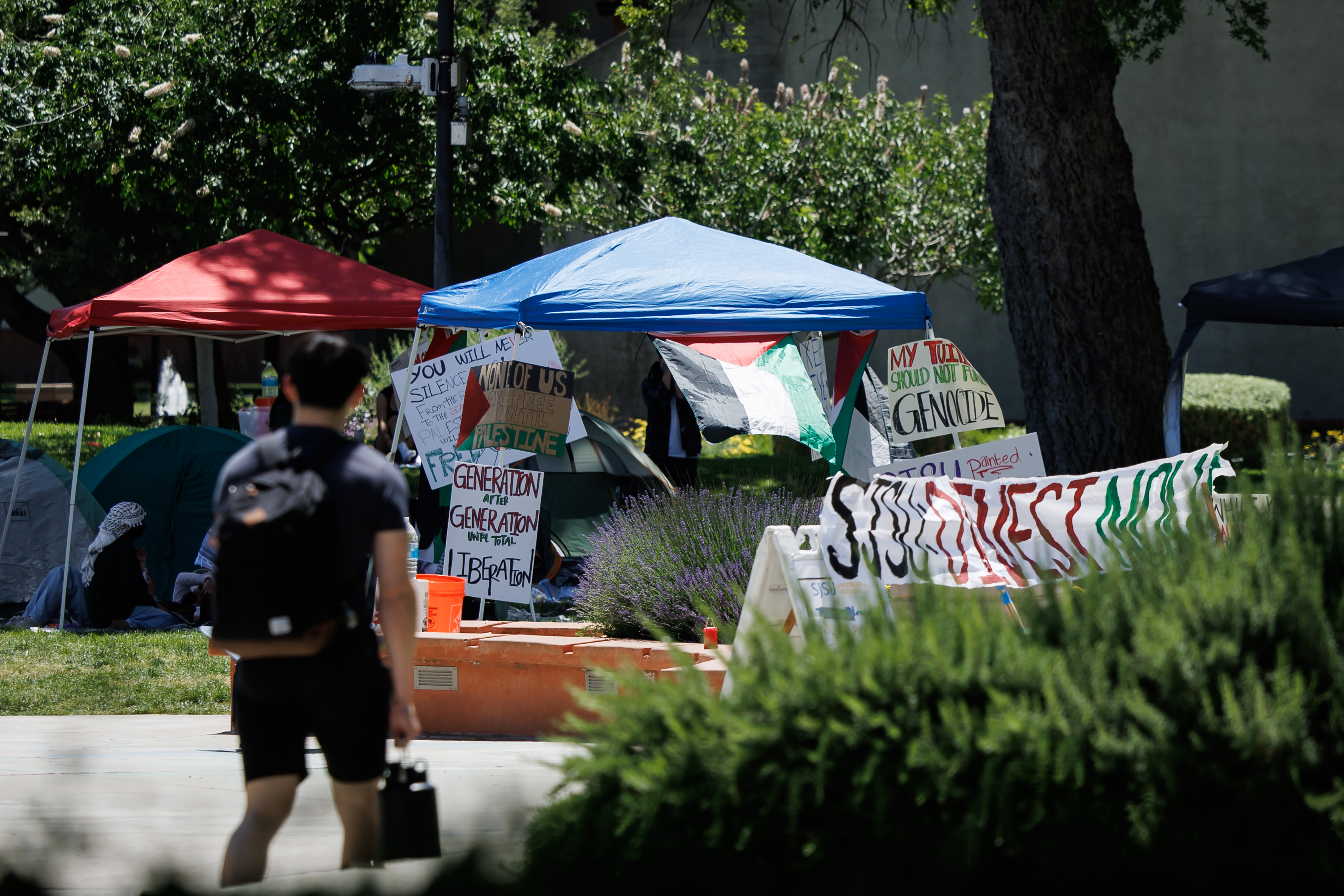 A pro-Palestinian protest encampment is seen in front of the Tommie Smith and John Carlos statues at San Jose State University on Tuesday, May 14, 2024, in San Jose, Calif. (Dai Sugano/Bay Area News Group)