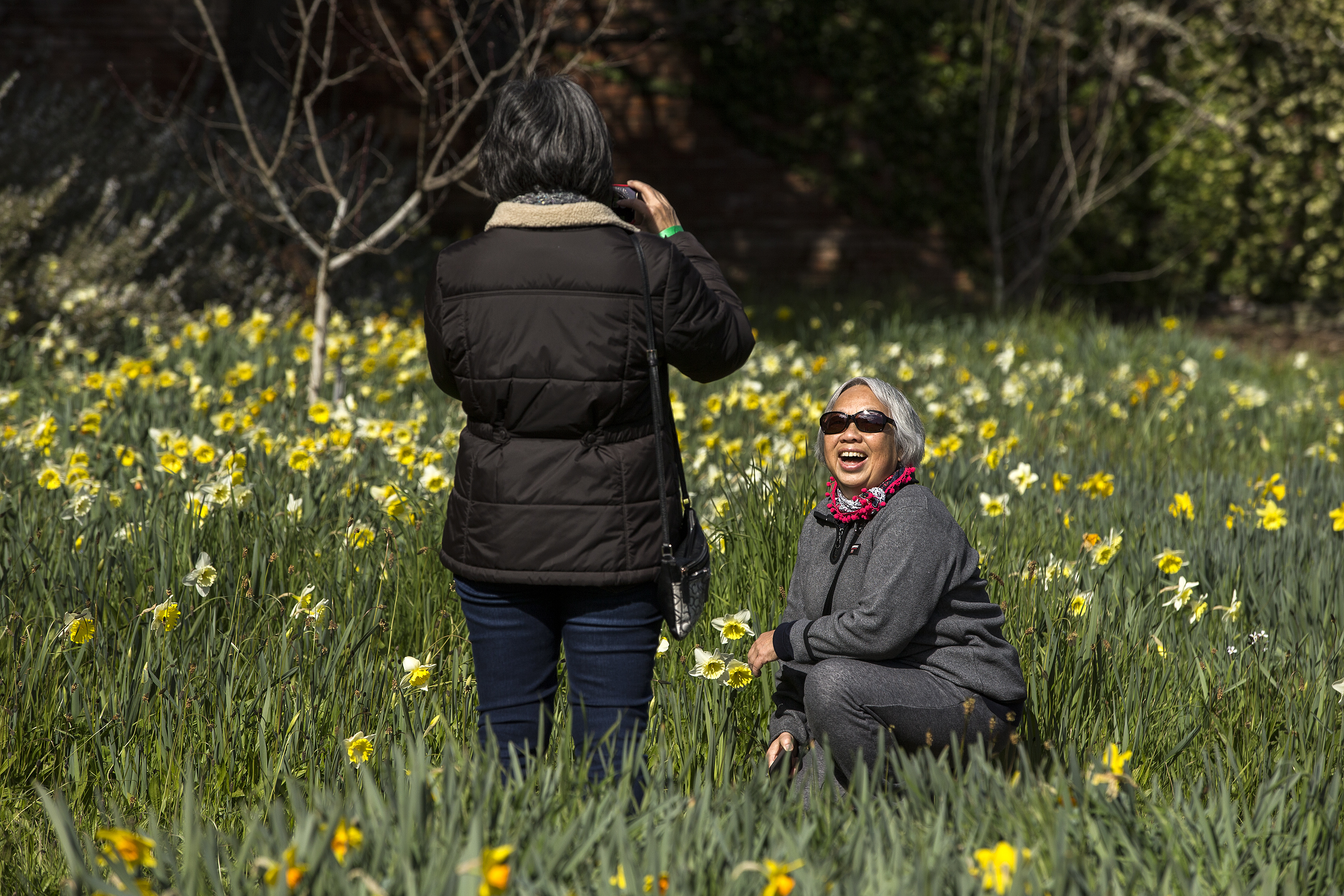 From left, Elizabeth Lui, of San Jose, takes a photo of Susan Lui, of San Jose, at the 