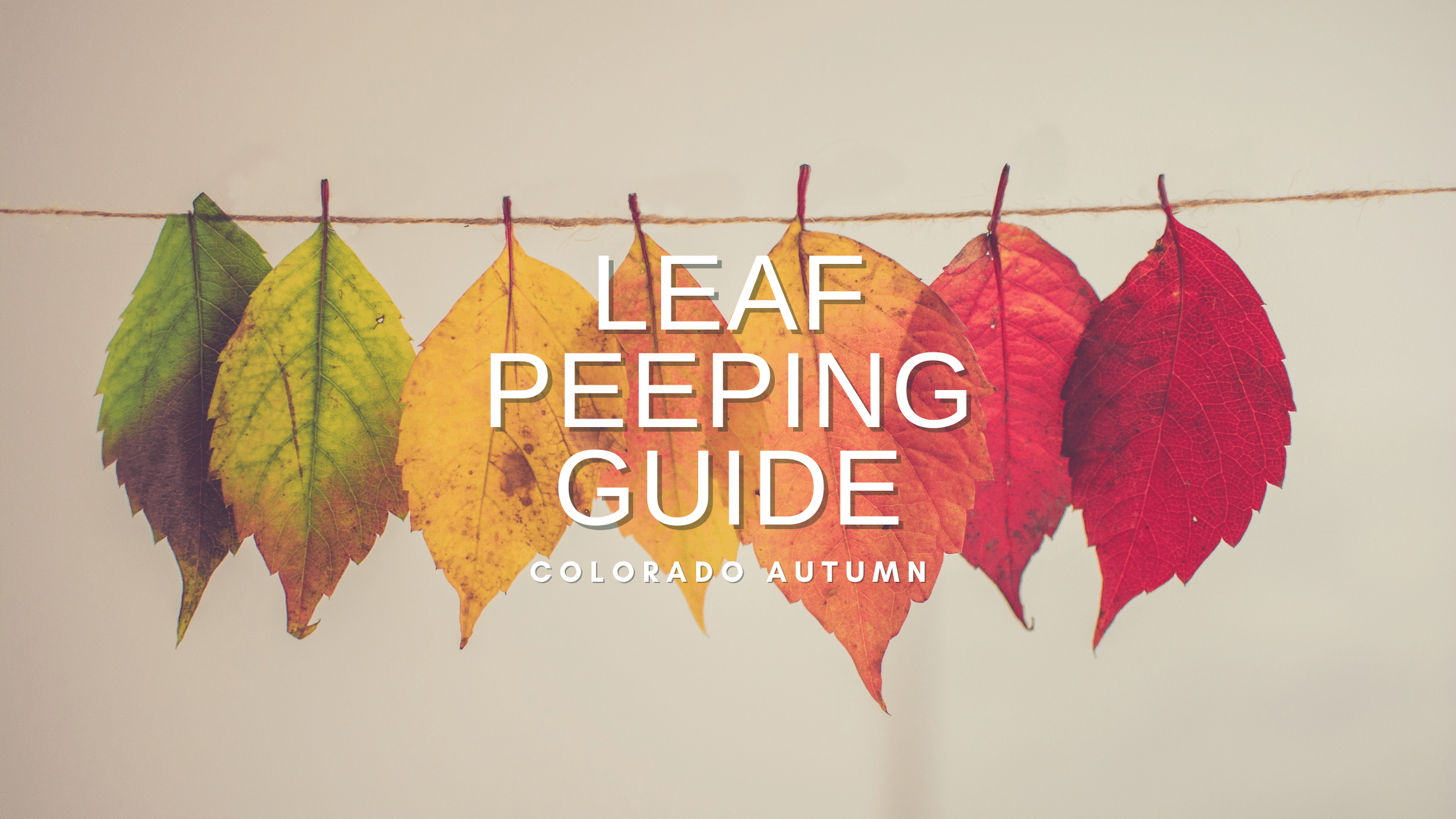 LEAF PEEPING GUIDE BANNER MER Mountain Equipment Recyclers LEAF PEEPING GUIDE BANNER 