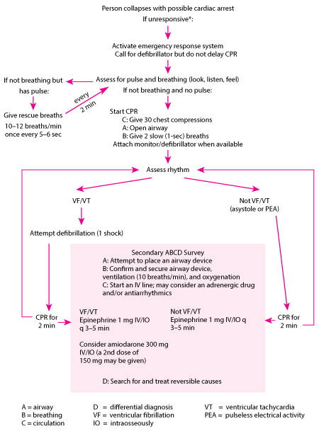 Cardiopulmonary resuscitation (cpr)