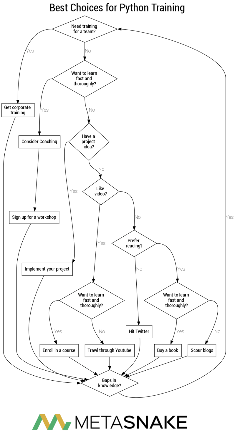 Metasnake Custom Python And Data Training - Gradient Pictures - Classic HD Collection