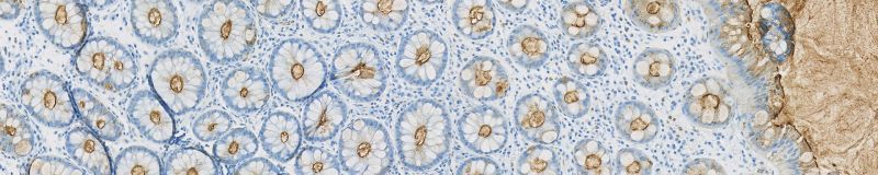 Meyer Instruments Your Digital Imaging Partner - Perfect Landscape Pattern - Ultra HD