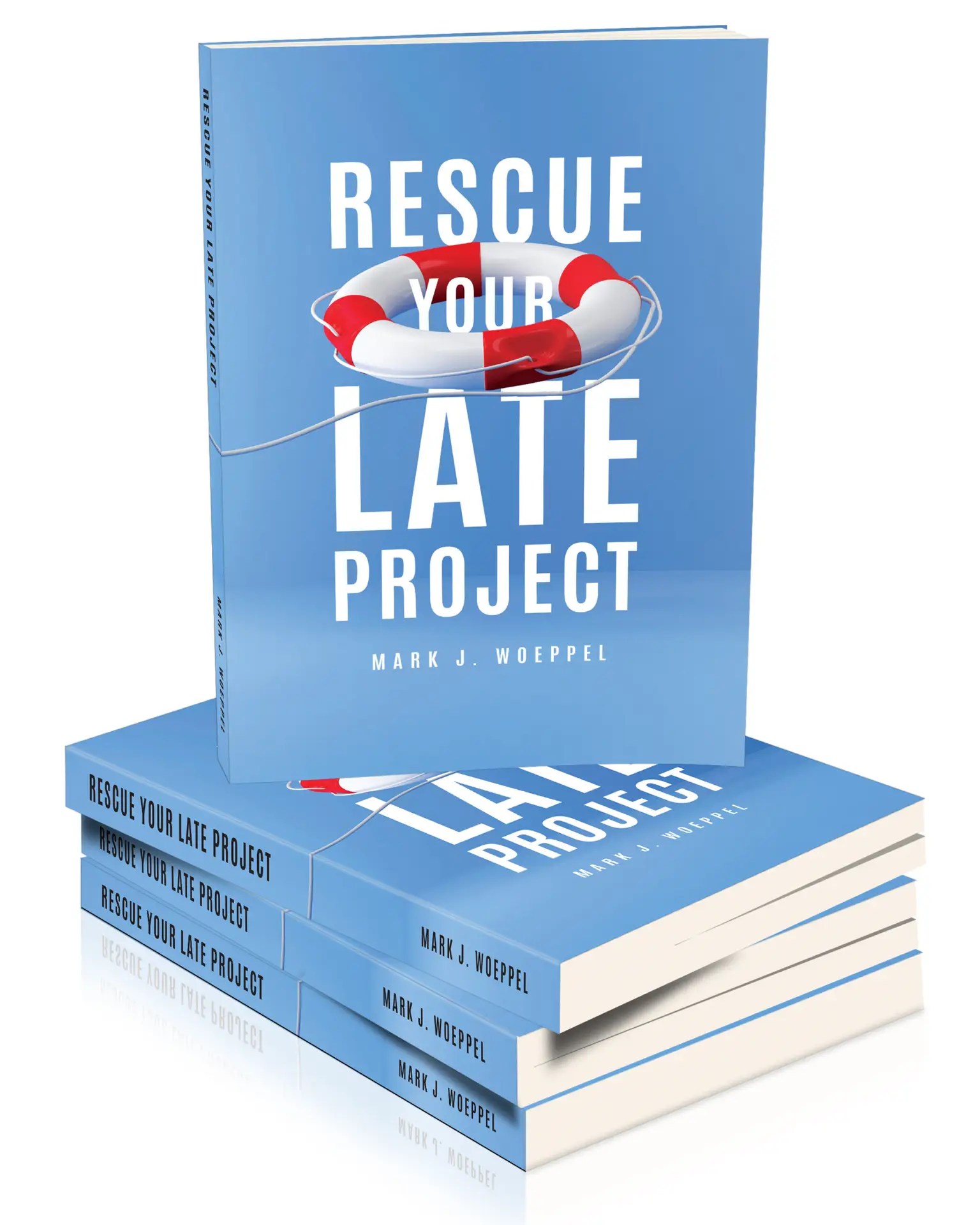 book image of Rescue Your Late Project