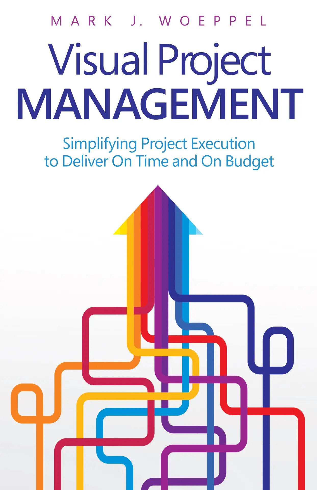 Book Cover Visual Project Management