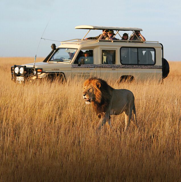 When Is The Best Time To Go On Safari In East Africa