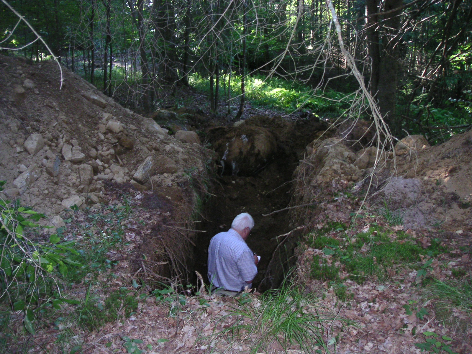 Site and soil analysis