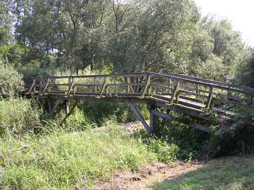 Ausführlich, verständlich und mit viel bildmaterial . DÃ¼mer See