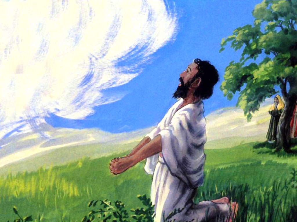 When God Pulls Rank (Job 38:22-30; 41:1-11; 42:1-6)