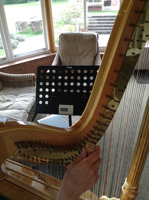 harp being tuned