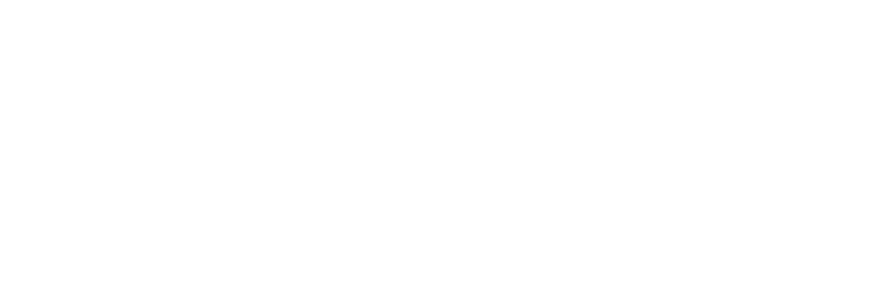 micMAC logo white