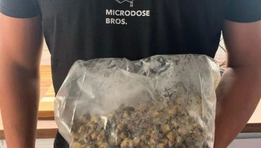 Tips for a Fantastic Experience with Magic Truffles