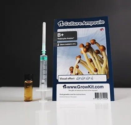 B+ Magic Mushroom Spores