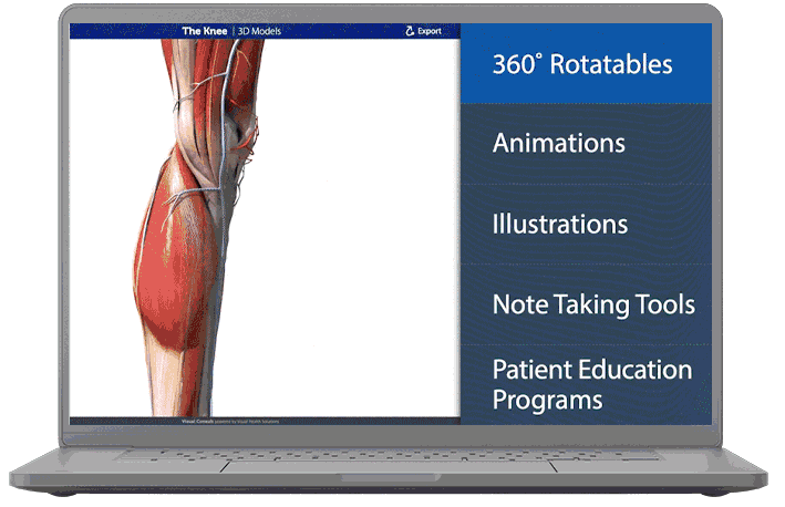 visual-consult-snippet