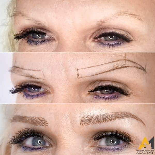 Save at fox microblading academy. 3 Day Microblading Training Classes Ct Tx Nv Ca Mi