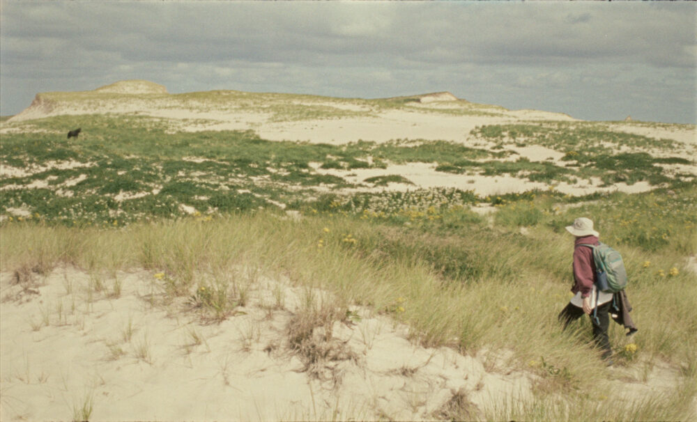 Viennale/Festival de Mar del Plata 2022: crítica de «Geographies of Solitude», de Jacquelyn Mills