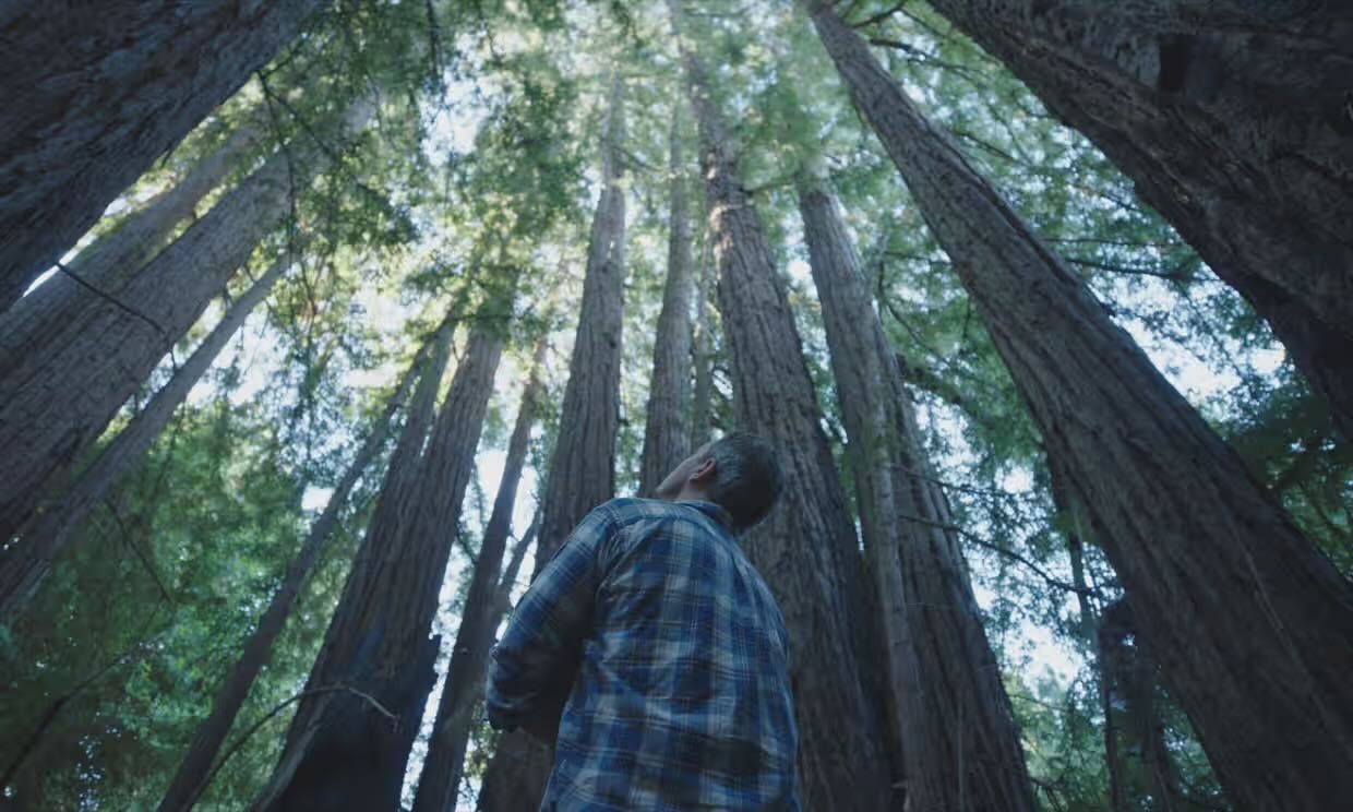 Estrenos online: crítica de «Arboles y otras ramificaciones» («Trees and Other Entanglements»), de Irene Taylor (HBO Max)