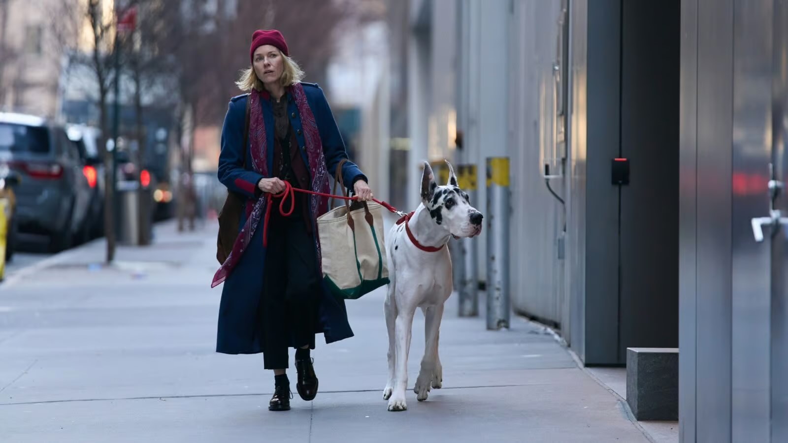 Estrenos online: crítica de «El amigo» («The Friend»), de Scott McGehee y David Siegel (Flow, Claro Video, Movistar TV)