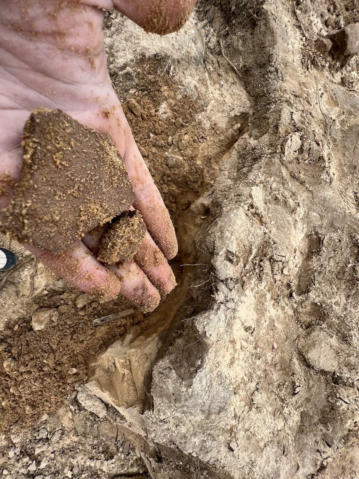 A 2,000-year-old Roman cemetery containing at least 20 ornately decorated graves has been uncovered near the shoreline in the northern Gaza Strip [Mohammed Asad/Middle East Monitor]