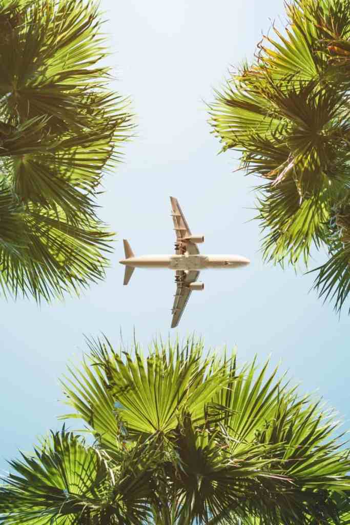 Plane in trees-migraine during vacation