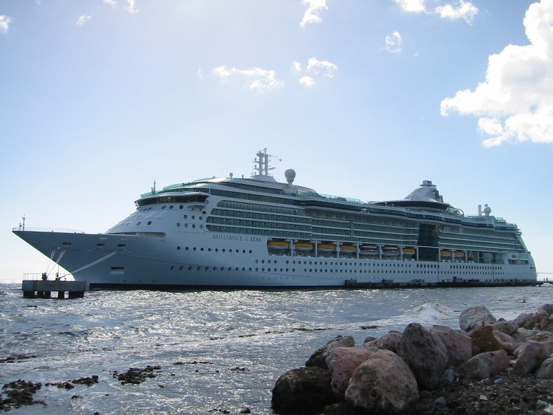 Royal Caribbean Radiance Class Ships