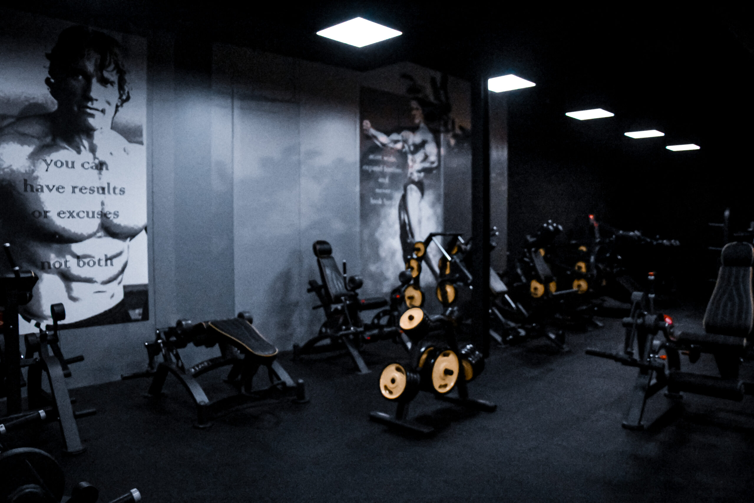 93F6AA9B-241F-46B2-BFD4-E81098BFD895