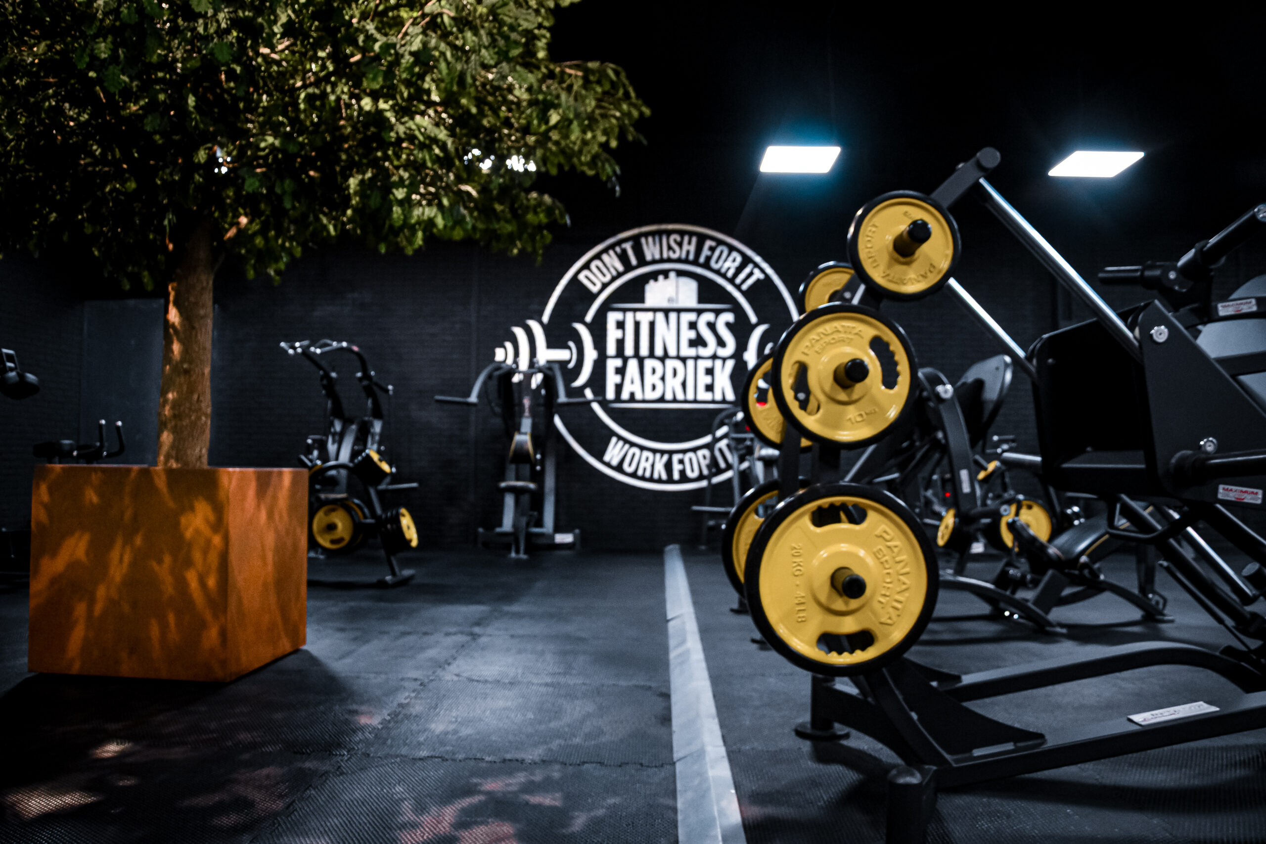 F06F27BE-EA7E-40AC-B9C9-DF7B3F8BA825